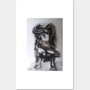 Dog on a 'Windy day' Posters and Art